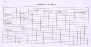 2015收支预算总表_副本_副本.jpg